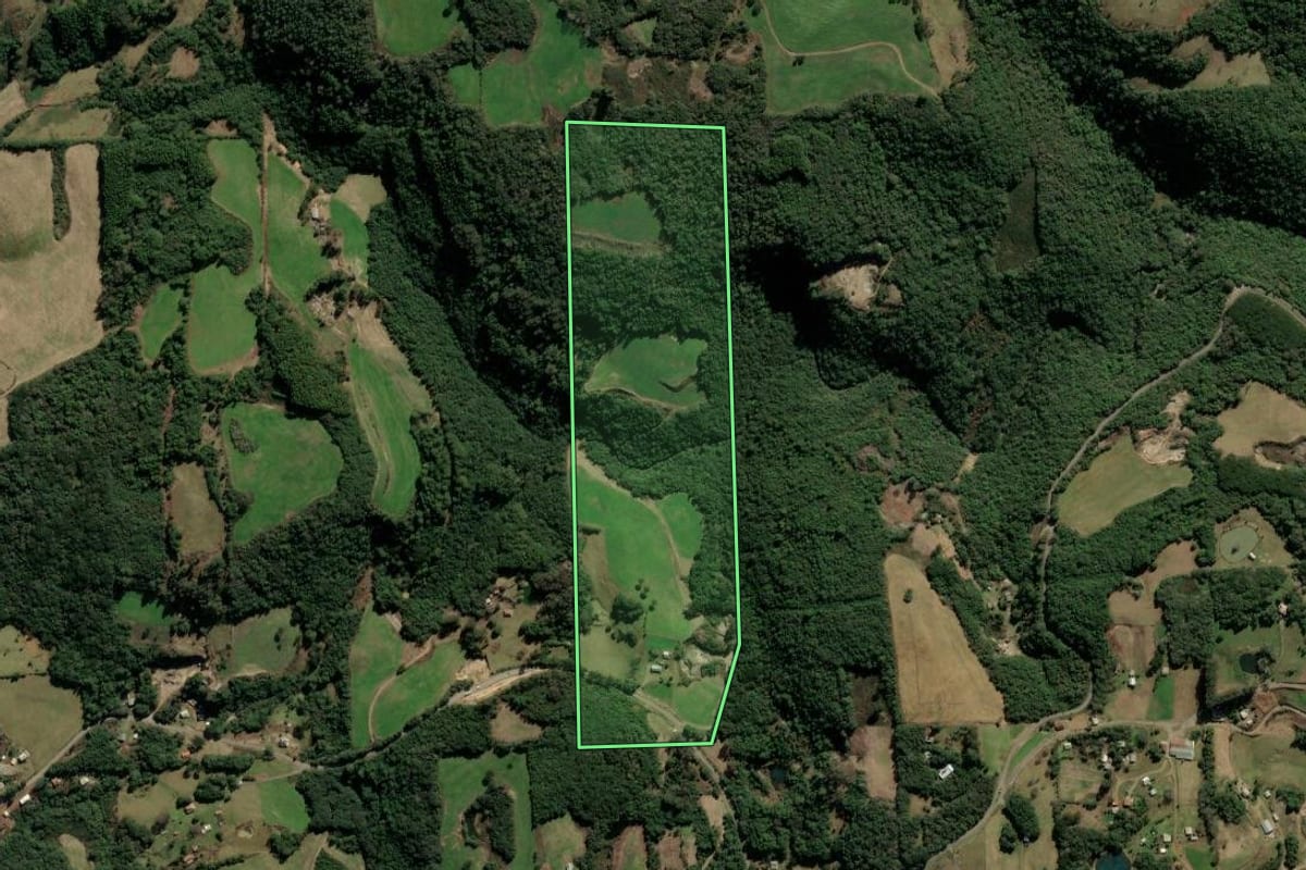 Imagem de satélite do imóvel rural em Nova Prata (RS), com o contorno declarado no CAR desenhado por cima.