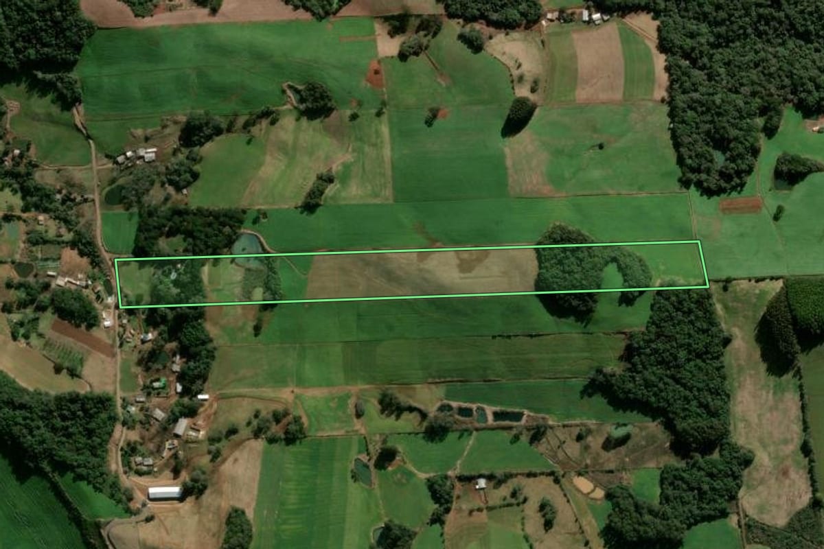 Imagem de satélite do imóvel rural em Nova Prata (RS), com o contorno declarado no CAR desenhado por cima.