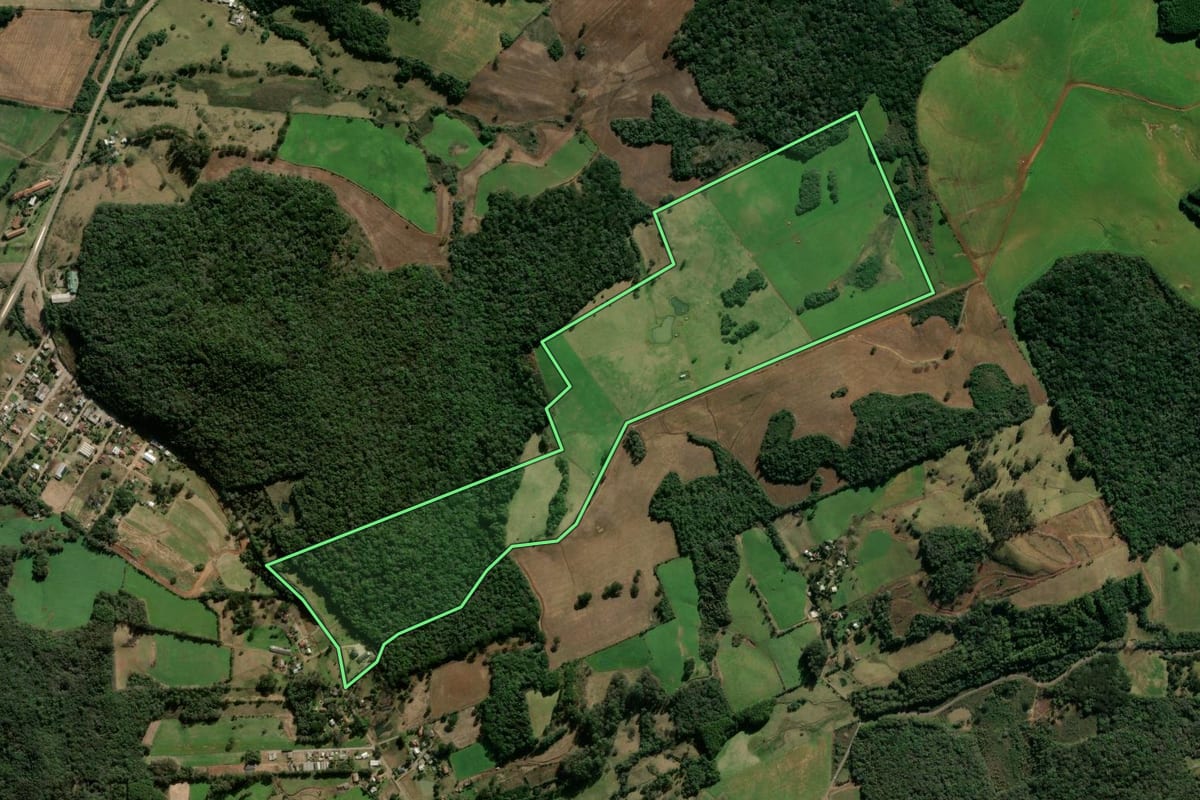 Imagem de satélite do imóvel rural em Nova Prata (RS), com o contorno declarado no CAR desenhado por cima.