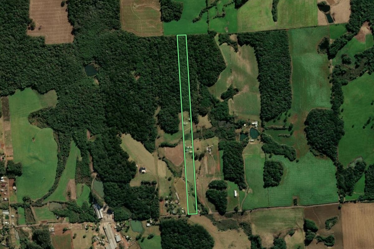 Imagem de satélite do imóvel rural em Nova Prata (RS), com o contorno declarado no CAR desenhado por cima.