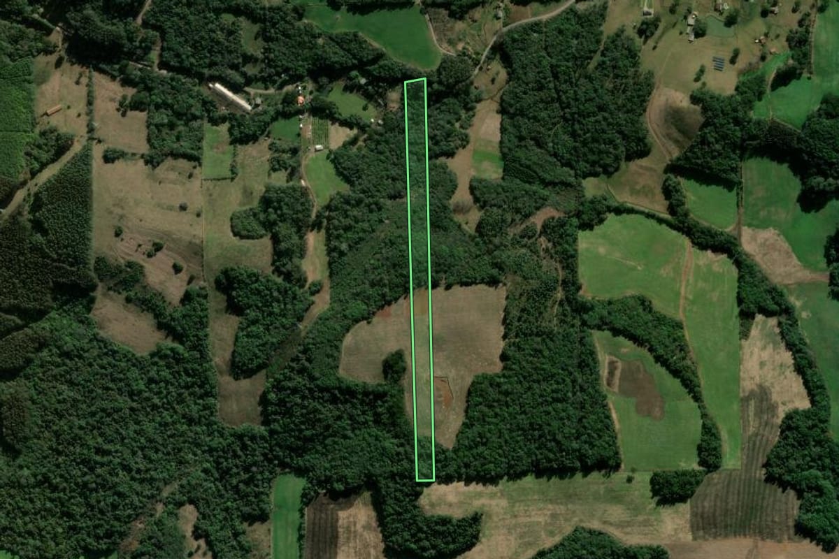 Imagem de satélite do imóvel rural em Nova Prata (RS), com o contorno declarado no CAR desenhado por cima.