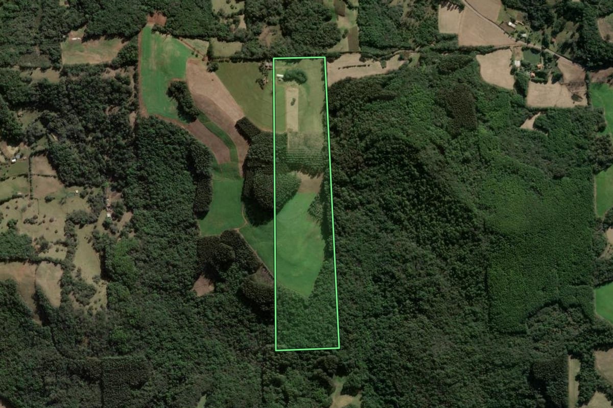 Imagem de satélite do imóvel rural em Nova Prata (RS), com o contorno declarado no CAR desenhado por cima.