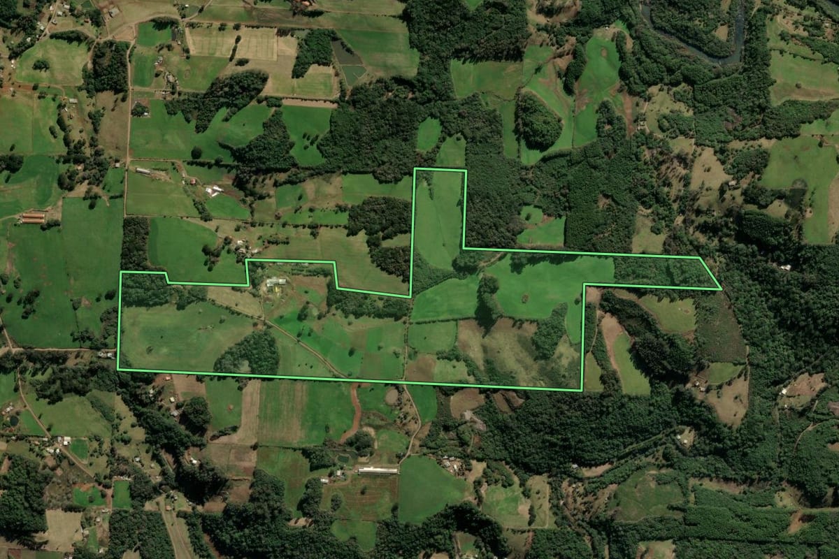 Imagem de satélite do imóvel rural em Nova Prata (RS), com o contorno declarado no CAR desenhado por cima.