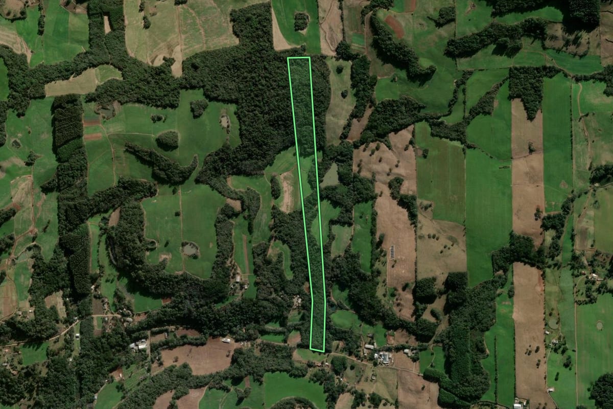 Imagem de satélite do imóvel rural em Nova Prata (RS), com o contorno declarado no CAR desenhado por cima.
