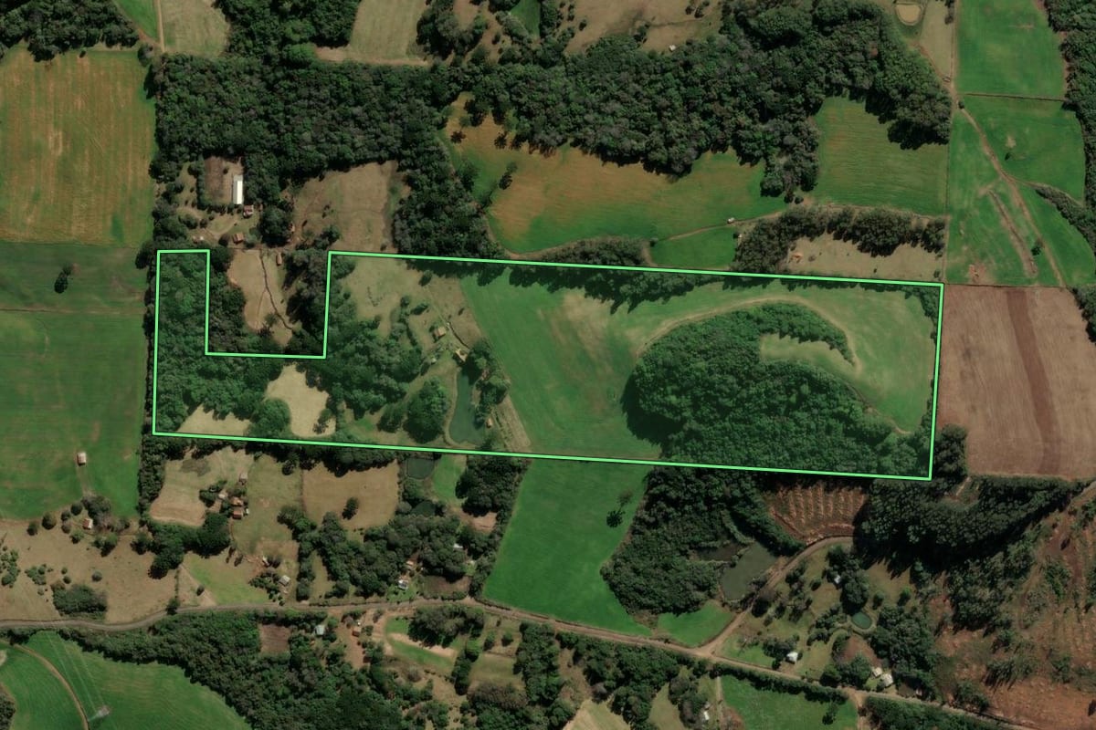 Imagem de satélite do imóvel rural em Nova Prata (RS), com o contorno declarado no CAR desenhado por cima.