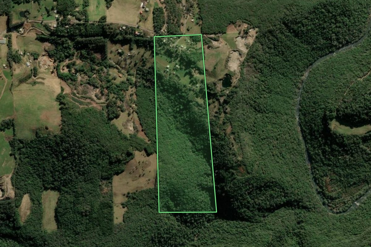Imagem de satélite do imóvel rural em Nova Prata (RS), com o contorno declarado no CAR desenhado por cima.