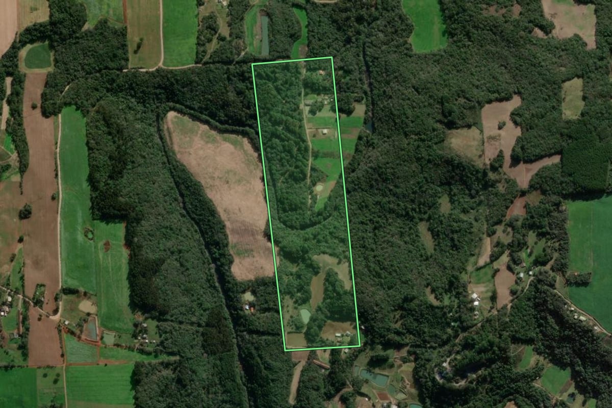 Imagem de satélite do imóvel rural em Nova Prata (RS), com o contorno declarado no CAR desenhado por cima.