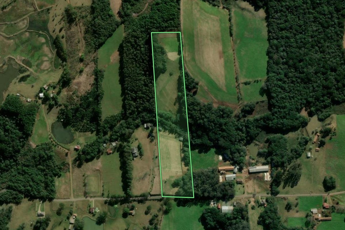 Imagem de satélite do imóvel rural em Nova Prata (RS), com o contorno declarado no CAR desenhado por cima.