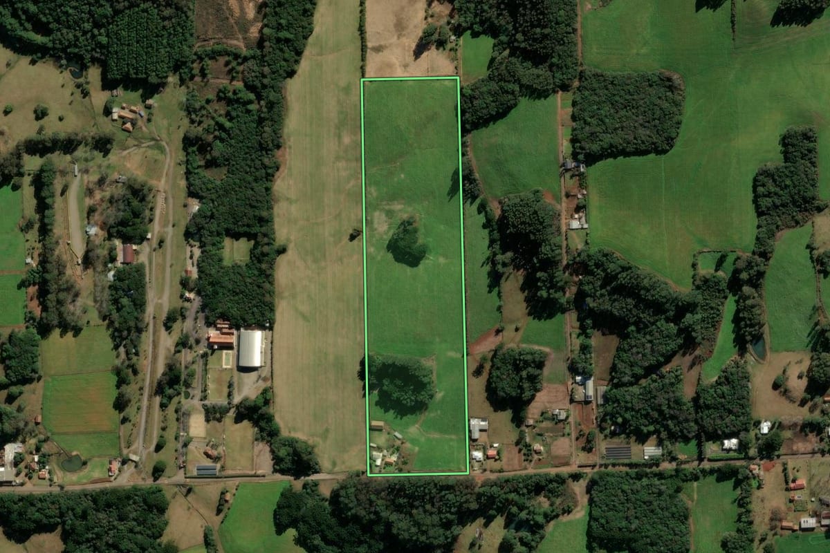 Imagem de satélite do imóvel rural em Nova Prata (RS), com o contorno declarado no CAR desenhado por cima.