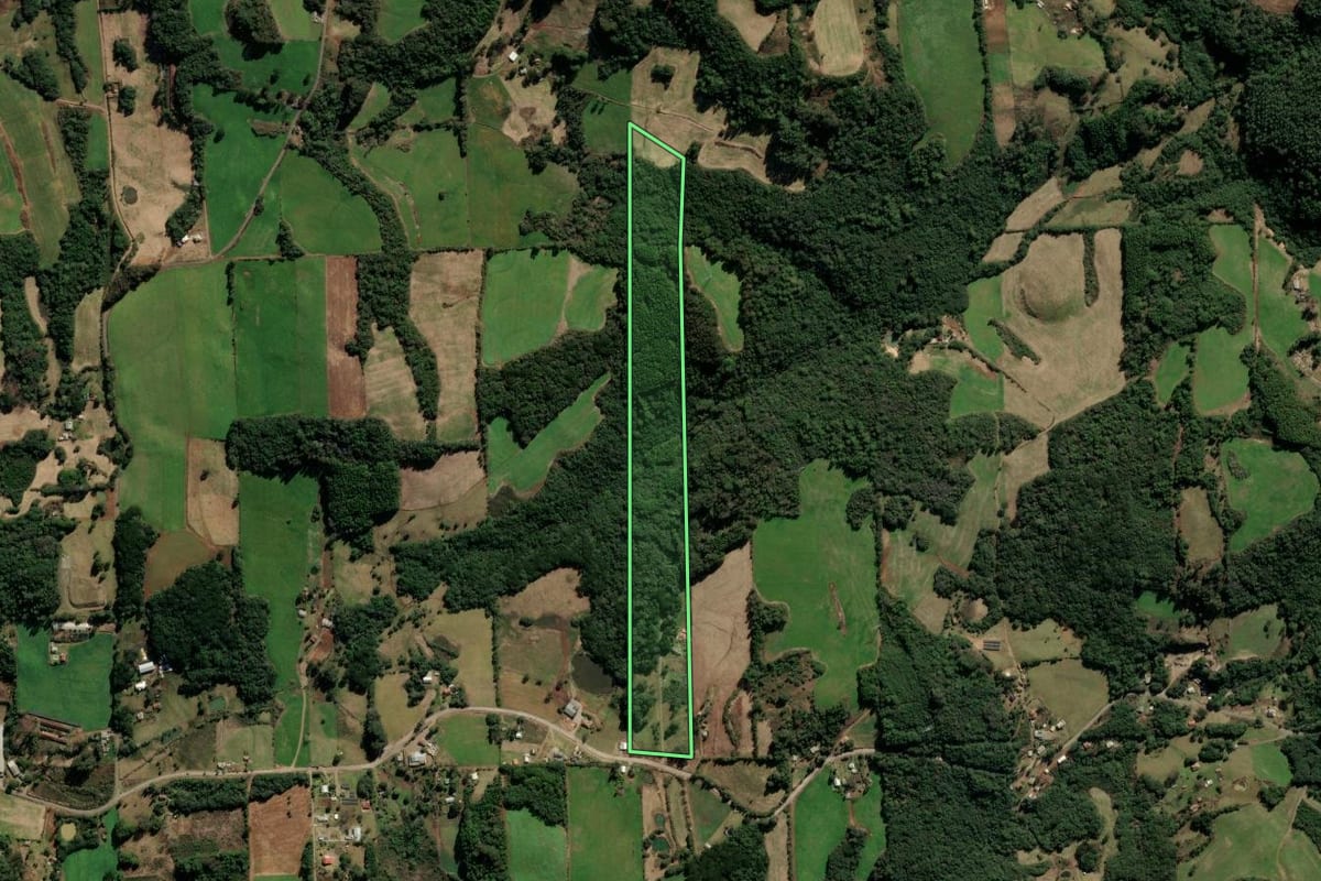 Imagem de satélite do imóvel rural em Nova Prata (RS), com o contorno declarado no CAR desenhado por cima.