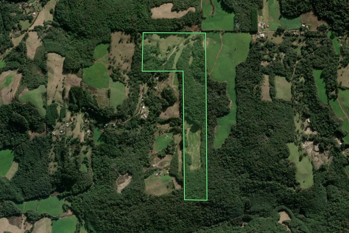 Imagem de satélite do imóvel rural em Nova Prata (RS), com o contorno declarado no CAR desenhado por cima.