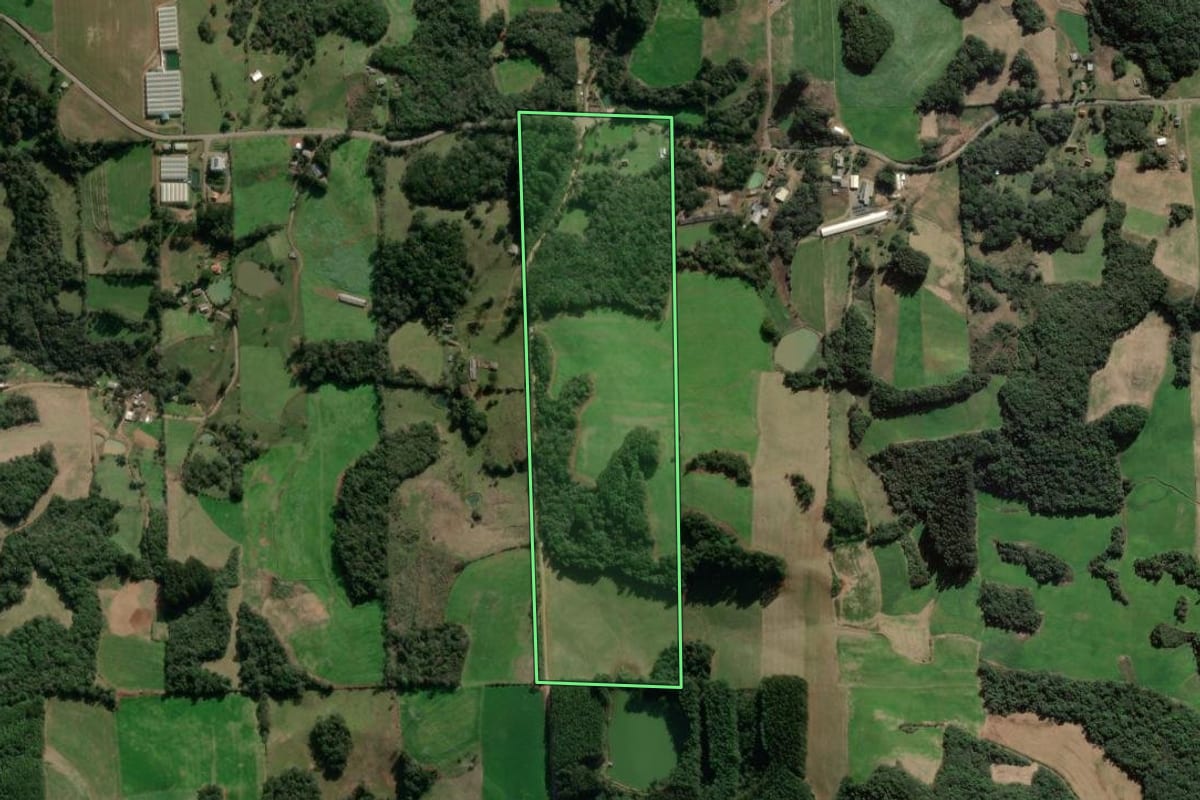 Imagem de satélite do imóvel rural em Nova Prata (RS), com o contorno declarado no CAR desenhado por cima.