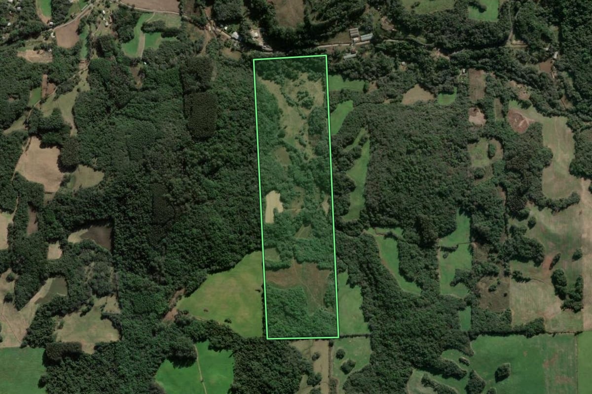 Imagem de satélite do imóvel rural em Nova Prata (RS), com o contorno declarado no CAR desenhado por cima.