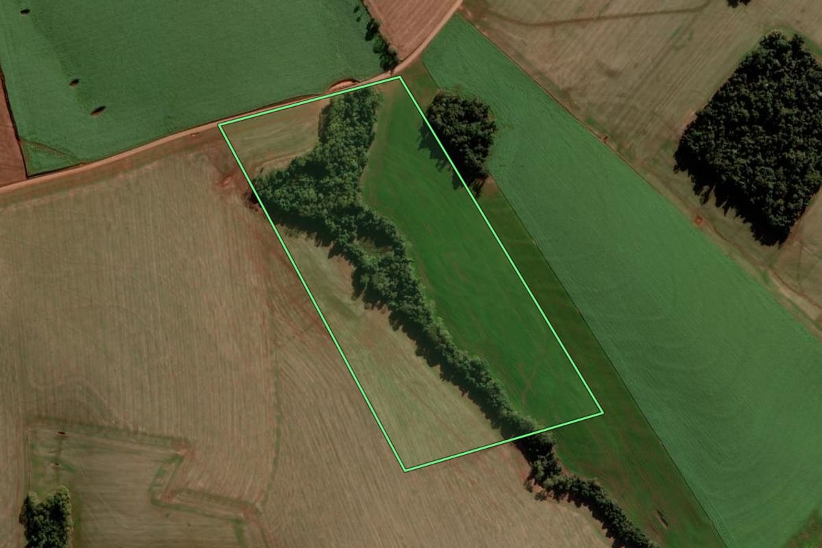 Imagem de satélite do imóvel rural em Nova Ramada (RS), com o contorno declarado no CAR desenhado por cima.