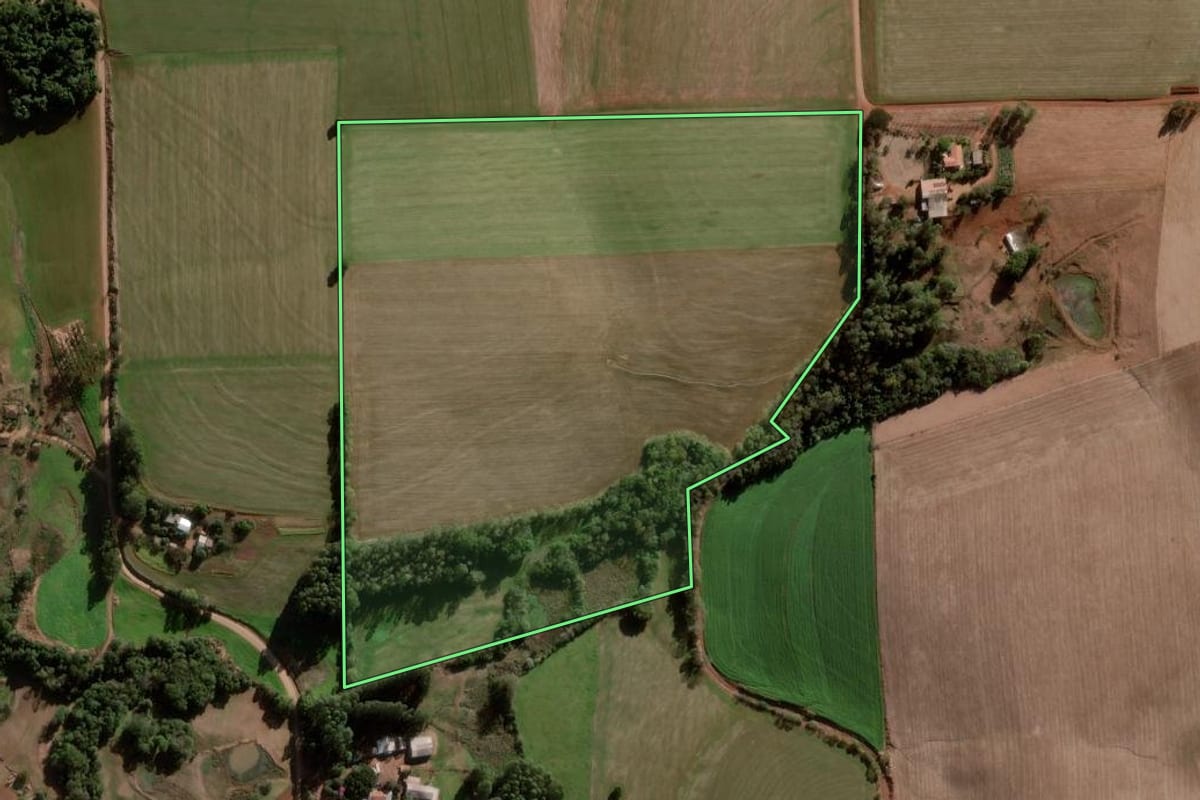 Imagem de satélite do imóvel rural em Nova Ramada (RS), com o contorno declarado no CAR desenhado por cima.