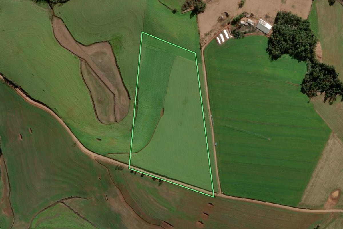 Imagem de satélite do imóvel rural em Nova Ramada (RS), com o contorno declarado no CAR desenhado por cima.
