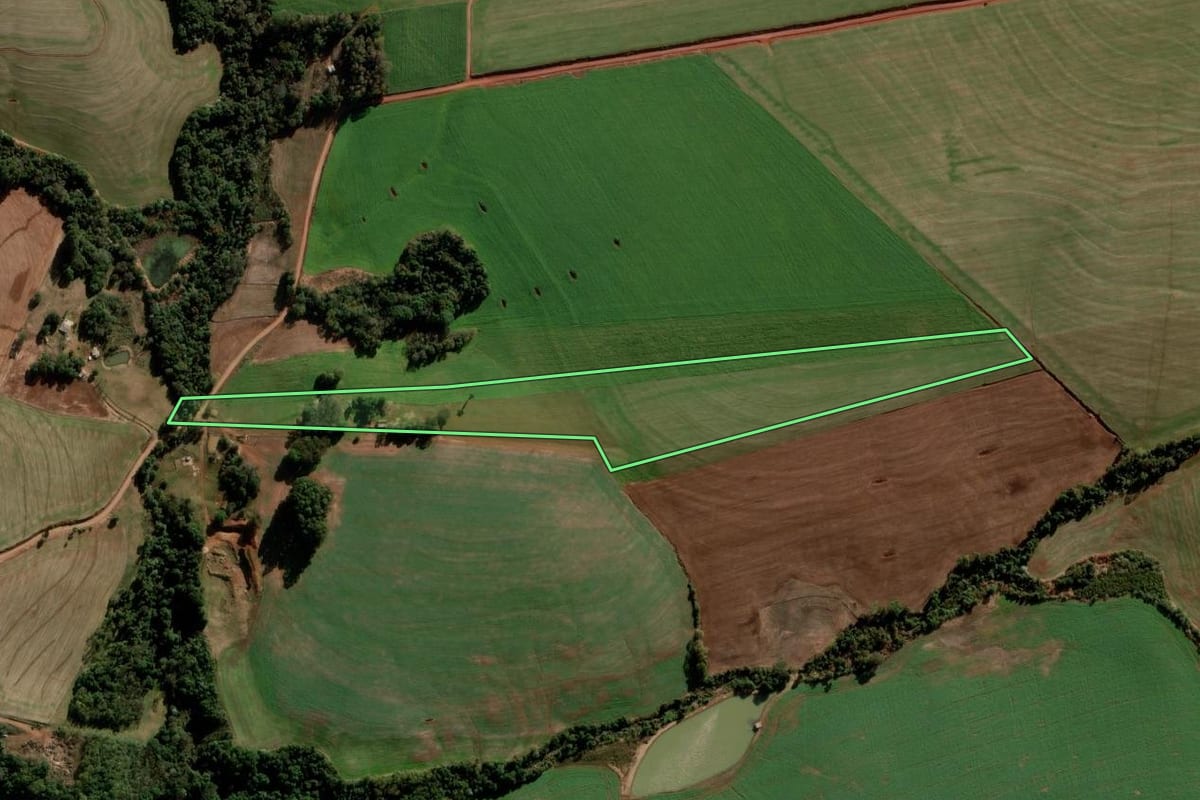 Imagem de satélite do imóvel rural em Nova Ramada (RS), com o contorno declarado no CAR desenhado por cima.