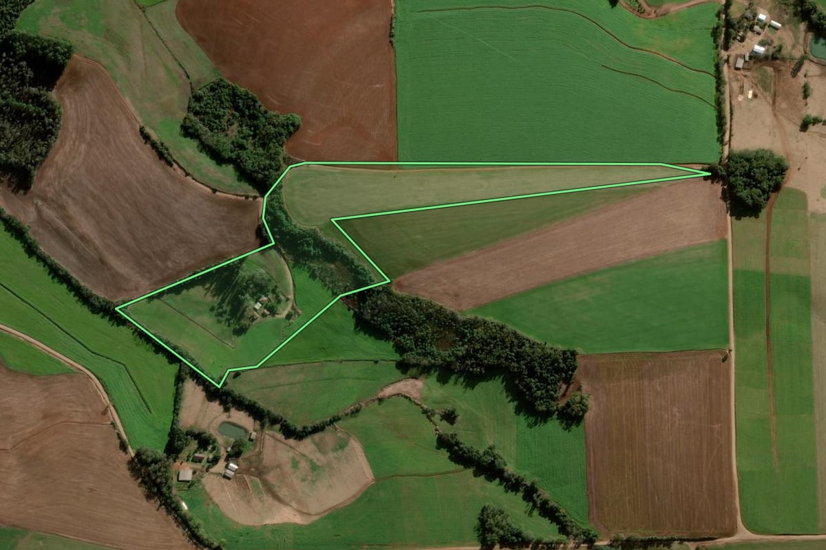 Imagem de satélite do imóvel rural em Nova Ramada (RS), com o contorno declarado no CAR desenhado por cima.