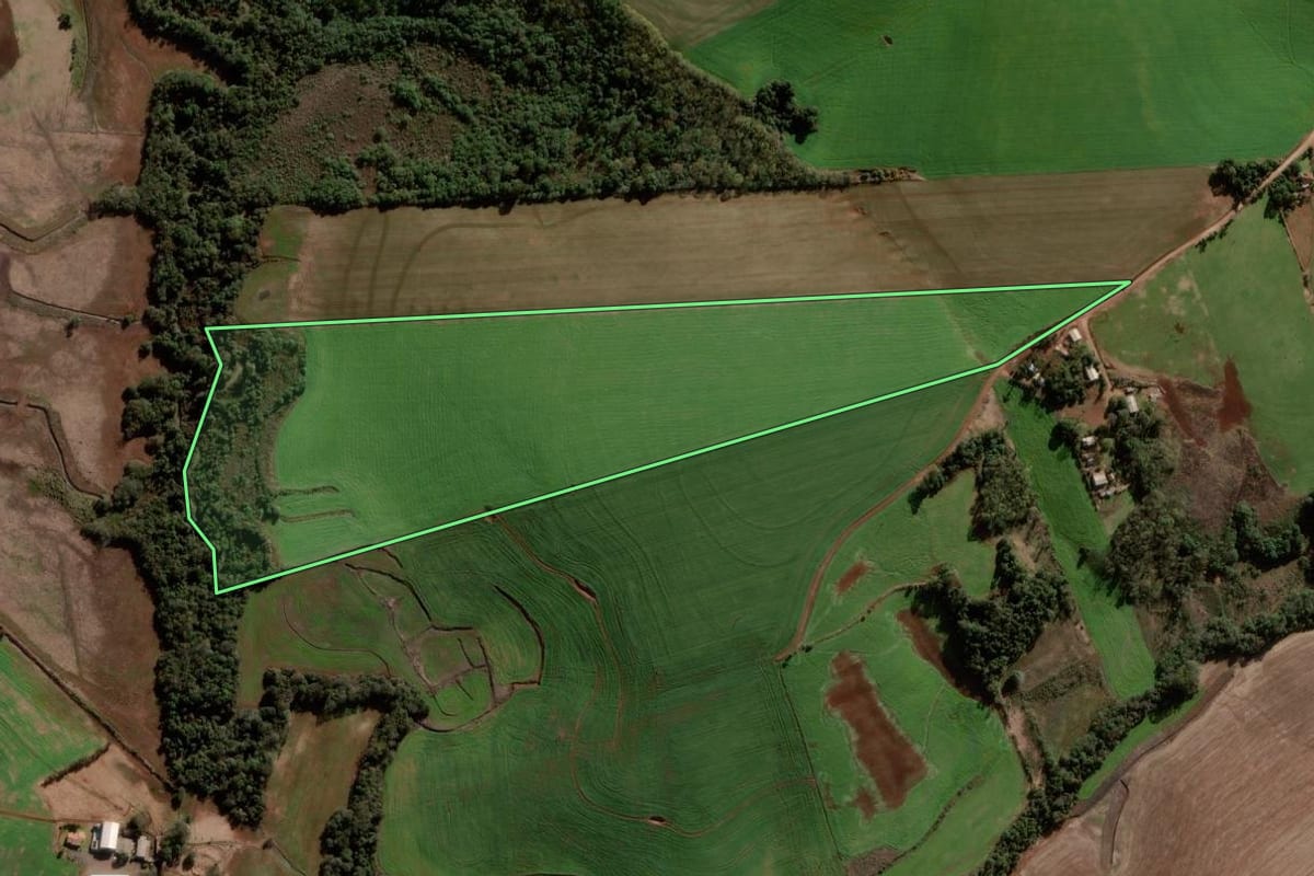 Imagem de satélite do imóvel rural em Nova Ramada (RS), com o contorno declarado no CAR desenhado por cima.