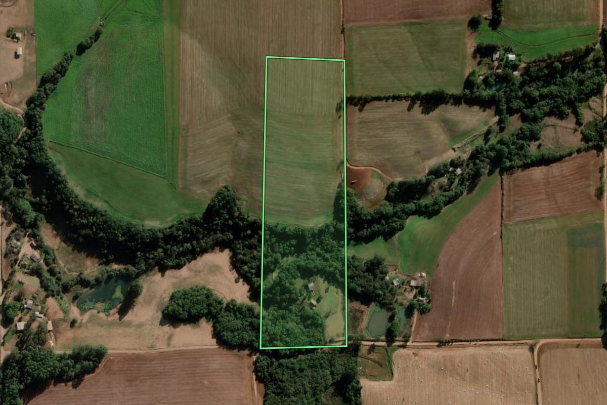 Imagem de satélite do imóvel rural em Nova Ramada (RS), com o contorno declarado no CAR desenhado por cima.