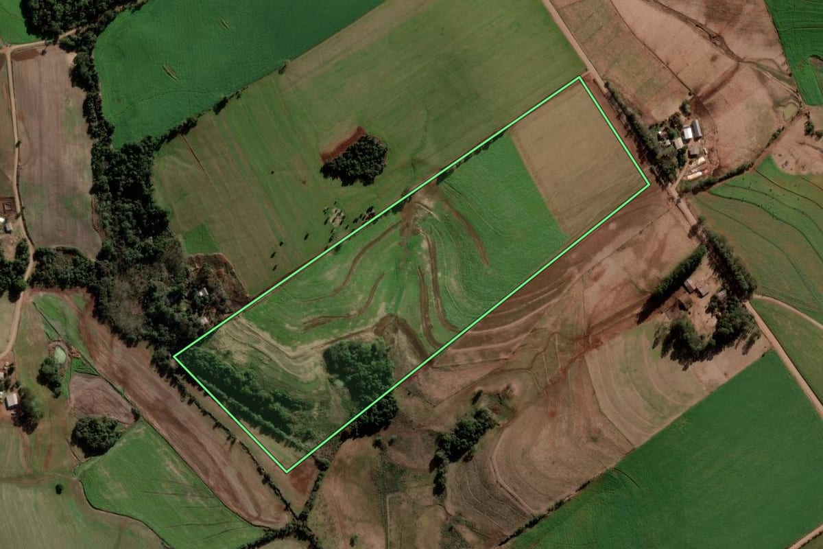 Imagem de satélite do imóvel rural em Nova Ramada (RS), com o contorno declarado no CAR desenhado por cima.