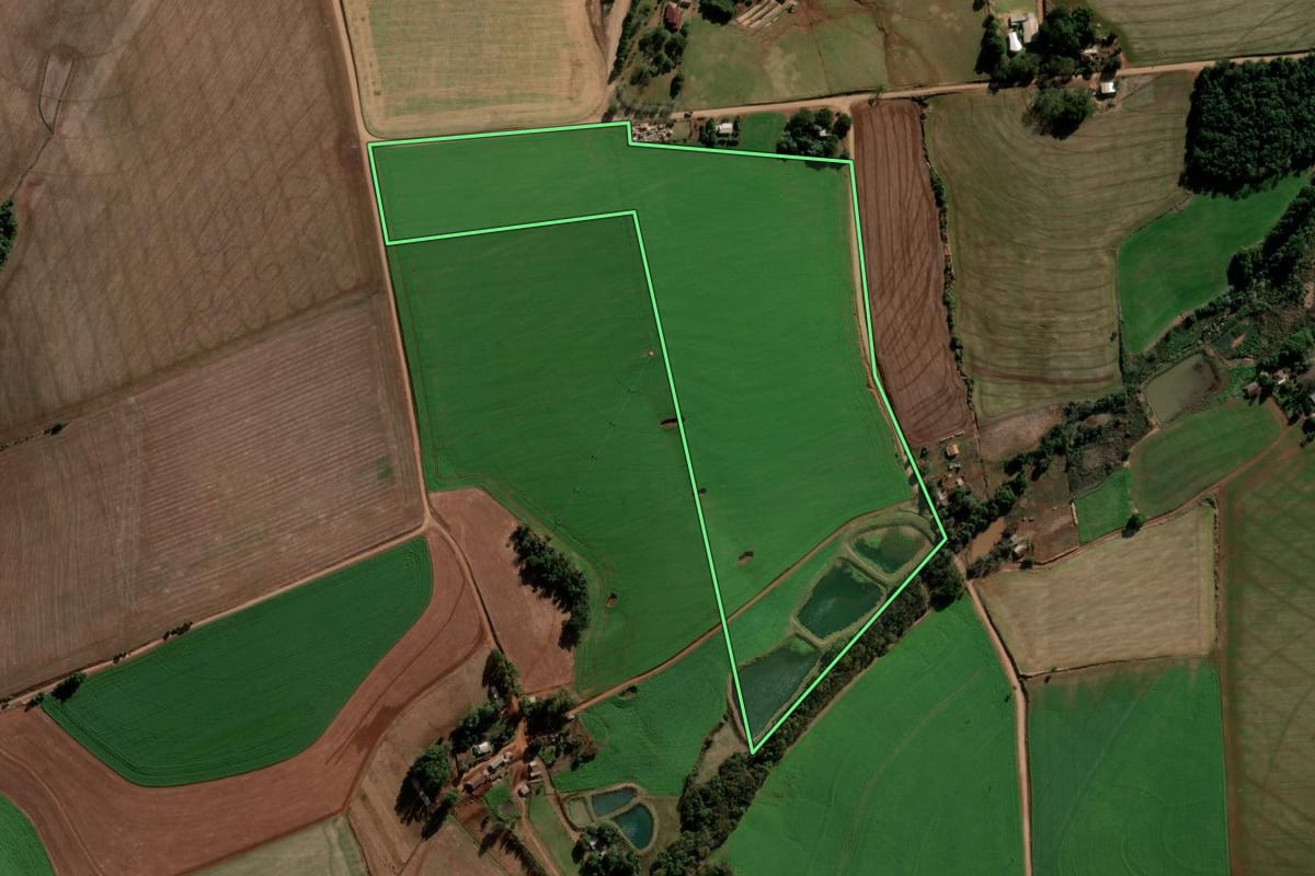Imagem de satélite do imóvel rural em Nova Ramada (RS), com o contorno declarado no CAR desenhado por cima.