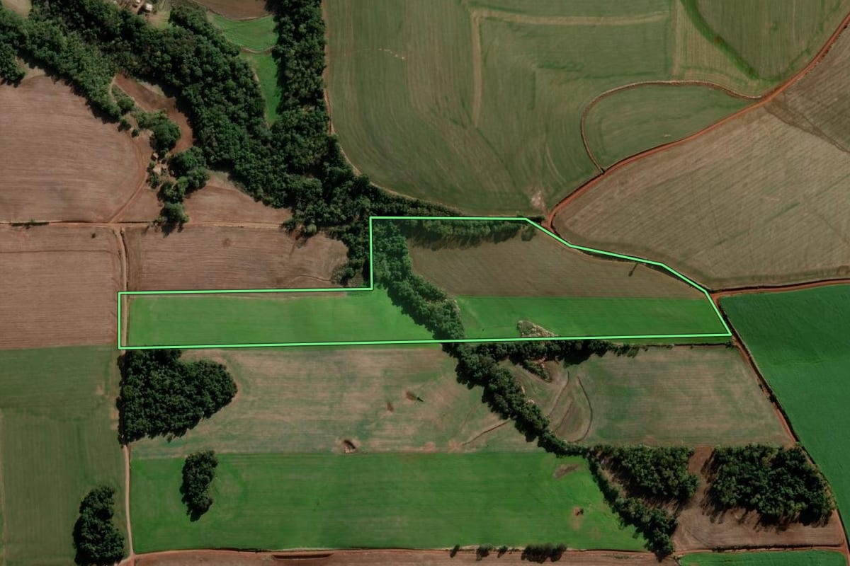 Imagem de satélite do imóvel rural em Nova Ramada (RS), com o contorno declarado no CAR desenhado por cima.