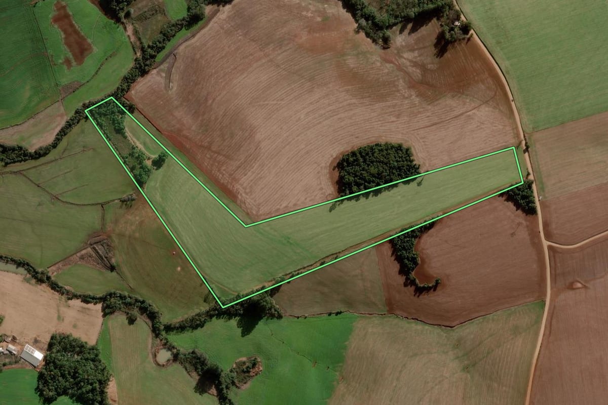 Imagem de satélite do imóvel rural em Nova Ramada (RS), com o contorno declarado no CAR desenhado por cima.