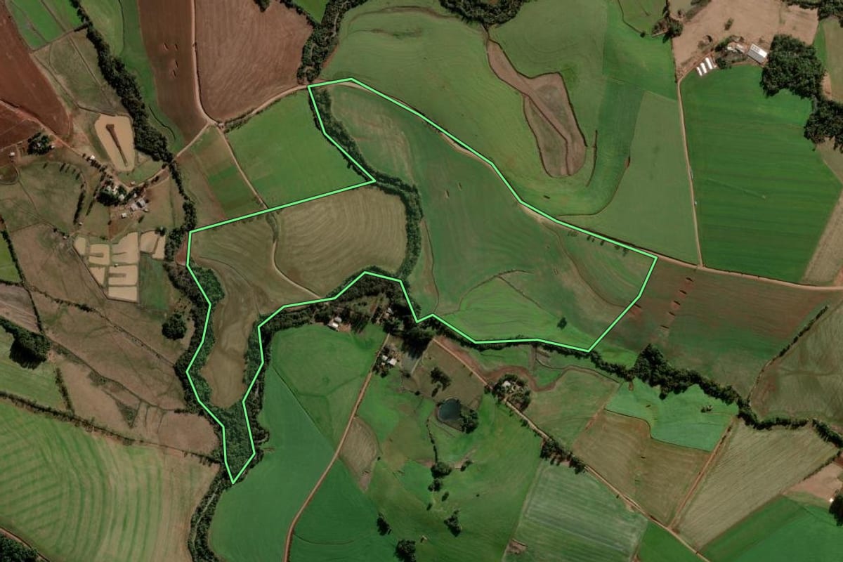 Imagem de satélite do imóvel rural em Nova Ramada (RS), com o contorno declarado no CAR desenhado por cima.
