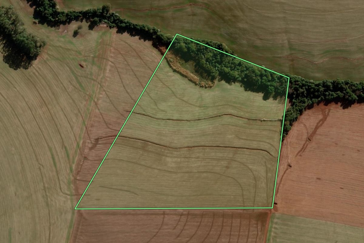 Imagem de satélite do imóvel rural em Nova Ramada (RS), com o contorno declarado no CAR desenhado por cima.
