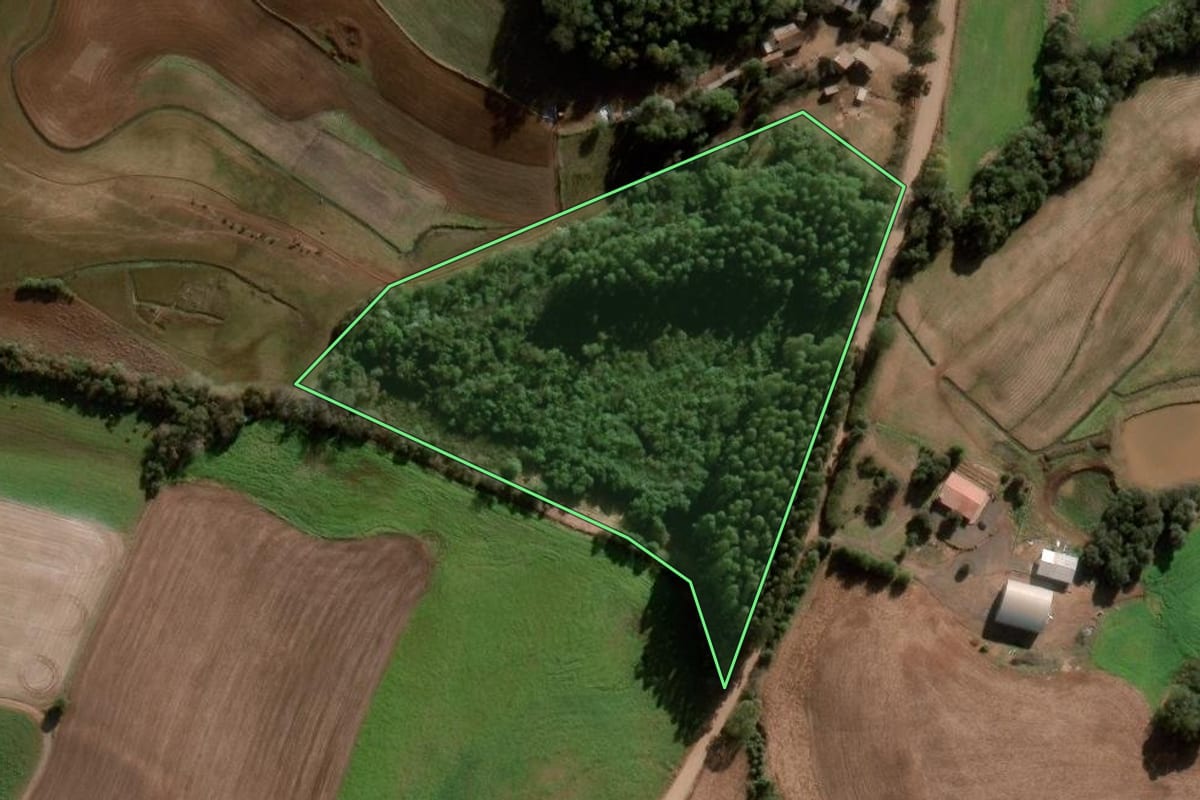 Imagem de satélite do imóvel rural em Nova Ramada (RS), com o contorno declarado no CAR desenhado por cima.