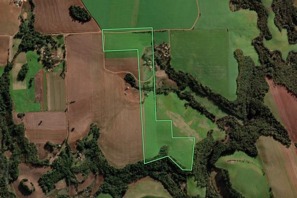 Imagem de satélite do imóvel rural em Nova Ramada (RS), com o contorno declarado no CAR desenhado por cima.