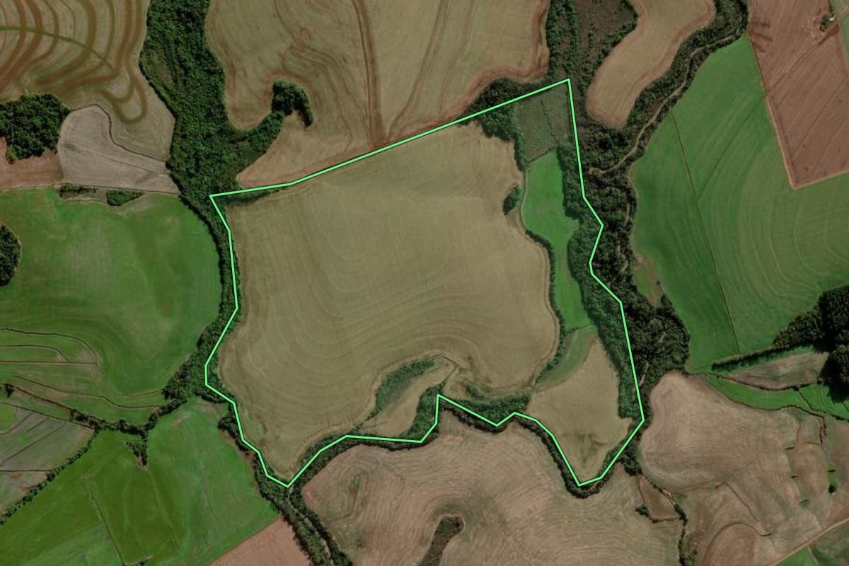 Imagem de satélite do imóvel rural em Nova Ramada (RS), com o contorno declarado no CAR desenhado por cima.
