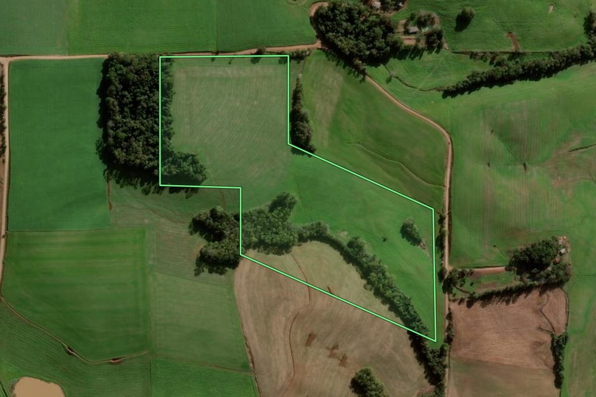 Imagem de satélite do imóvel rural em Nova Ramada (RS), com o contorno declarado no CAR desenhado por cima.