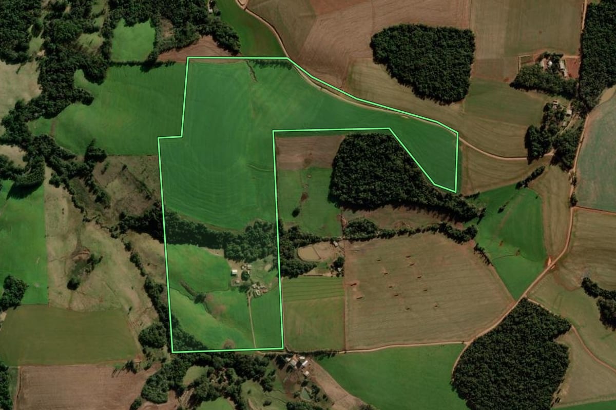 Imagem de satélite do imóvel rural em Nova Ramada (RS), com o contorno declarado no CAR desenhado por cima.