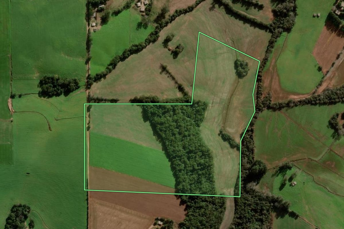 Imagem de satélite do imóvel rural em Nova Ramada (RS), com o contorno declarado no CAR desenhado por cima.