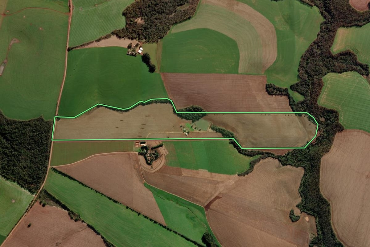 Imagem de satélite do imóvel rural em Nova Ramada (RS), com o contorno declarado no CAR desenhado por cima.