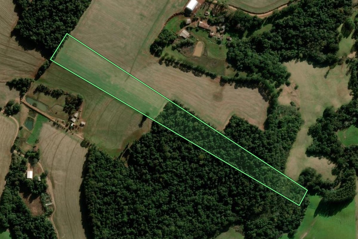 Imagem de satélite do imóvel rural em Nova Ramada (RS), com o contorno declarado no CAR desenhado por cima.