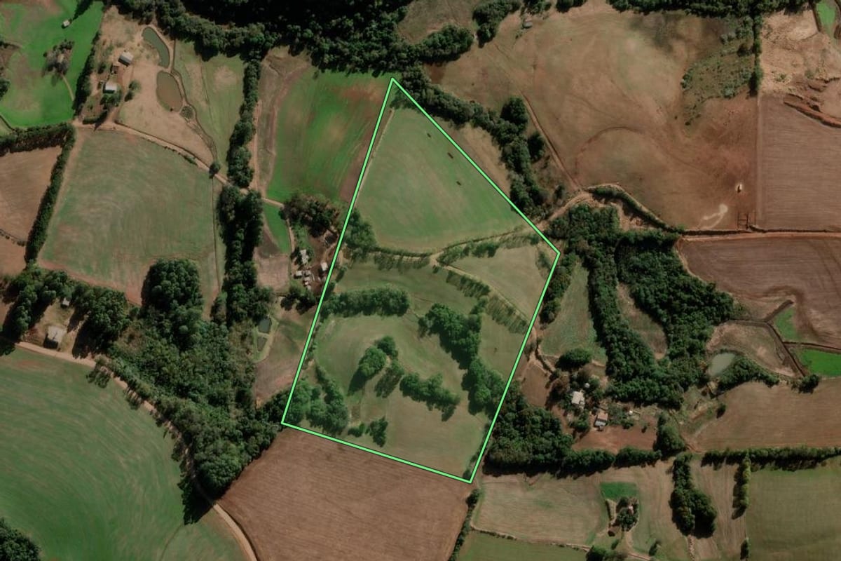 Imagem de satélite do imóvel rural em Nova Ramada (RS), com o contorno declarado no CAR desenhado por cima.
