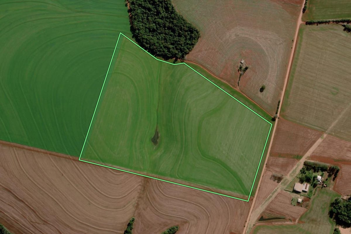 Imagem de satélite do imóvel rural em Nova Ramada (RS), com o contorno declarado no CAR desenhado por cima.