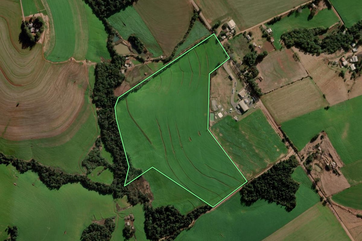 Imagem de satélite do imóvel rural em Nova Ramada (RS), com o contorno declarado no CAR desenhado por cima.