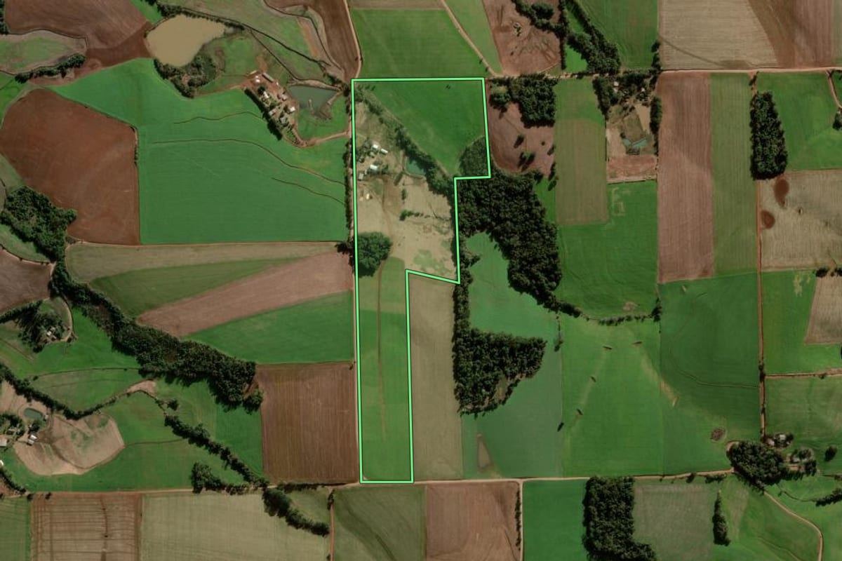 Imagem de satélite do imóvel rural em Nova Ramada (RS), com o contorno declarado no CAR desenhado por cima.