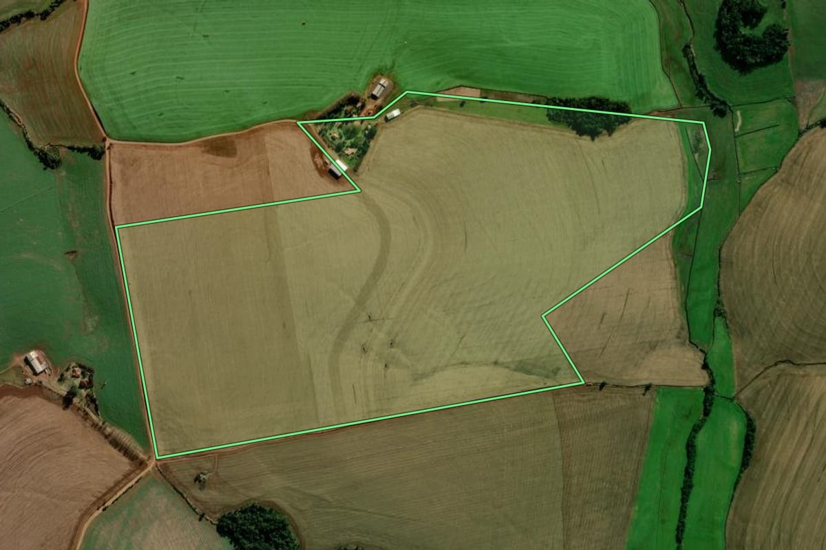 Imagem de satélite do imóvel rural em Nova Ramada (RS), com o contorno declarado no CAR desenhado por cima.