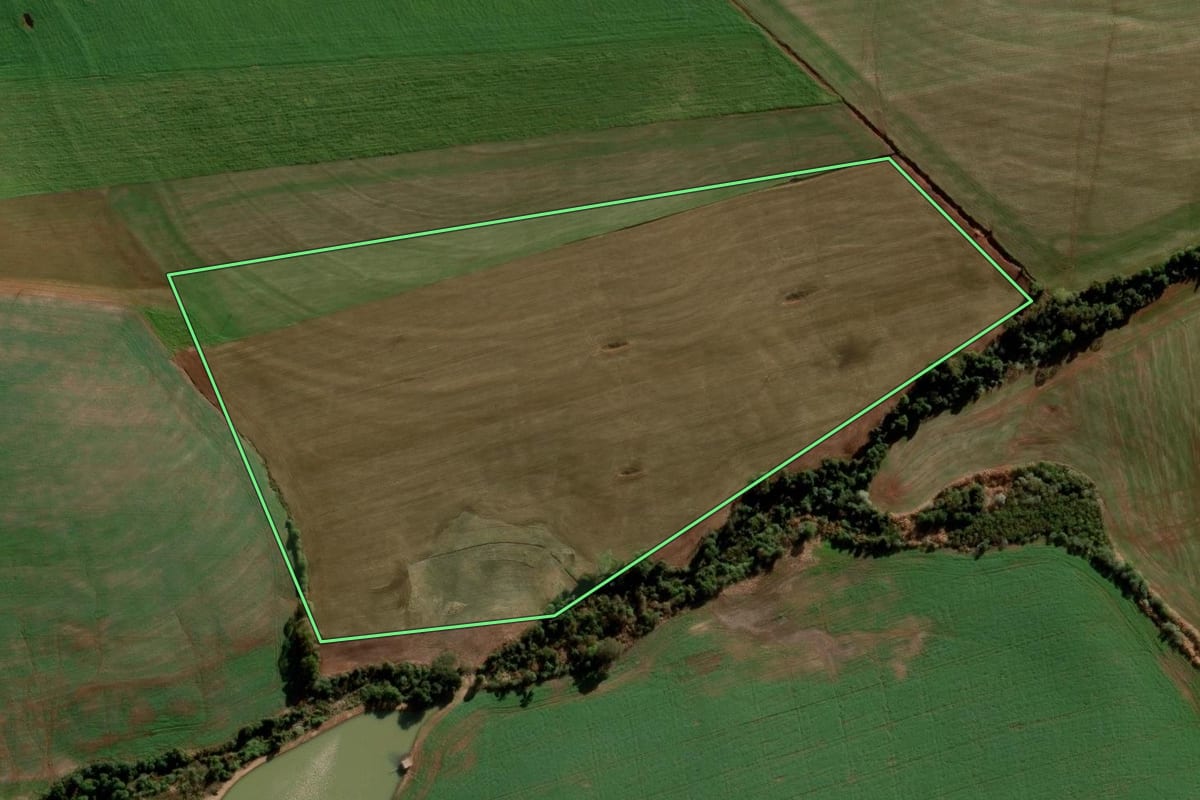 Imagem de satélite do imóvel rural em Nova Ramada (RS), com o contorno declarado no CAR desenhado por cima.