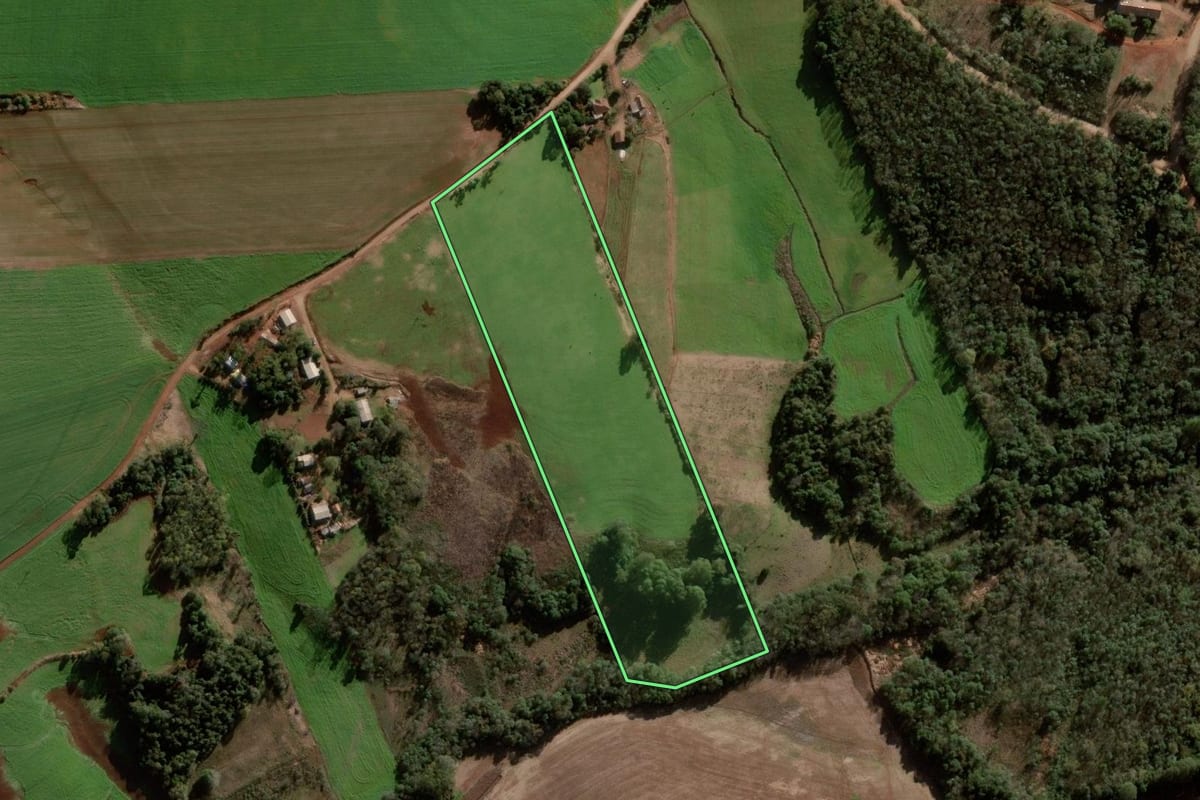 Imagem de satélite do imóvel rural em Nova Ramada (RS), com o contorno declarado no CAR desenhado por cima.