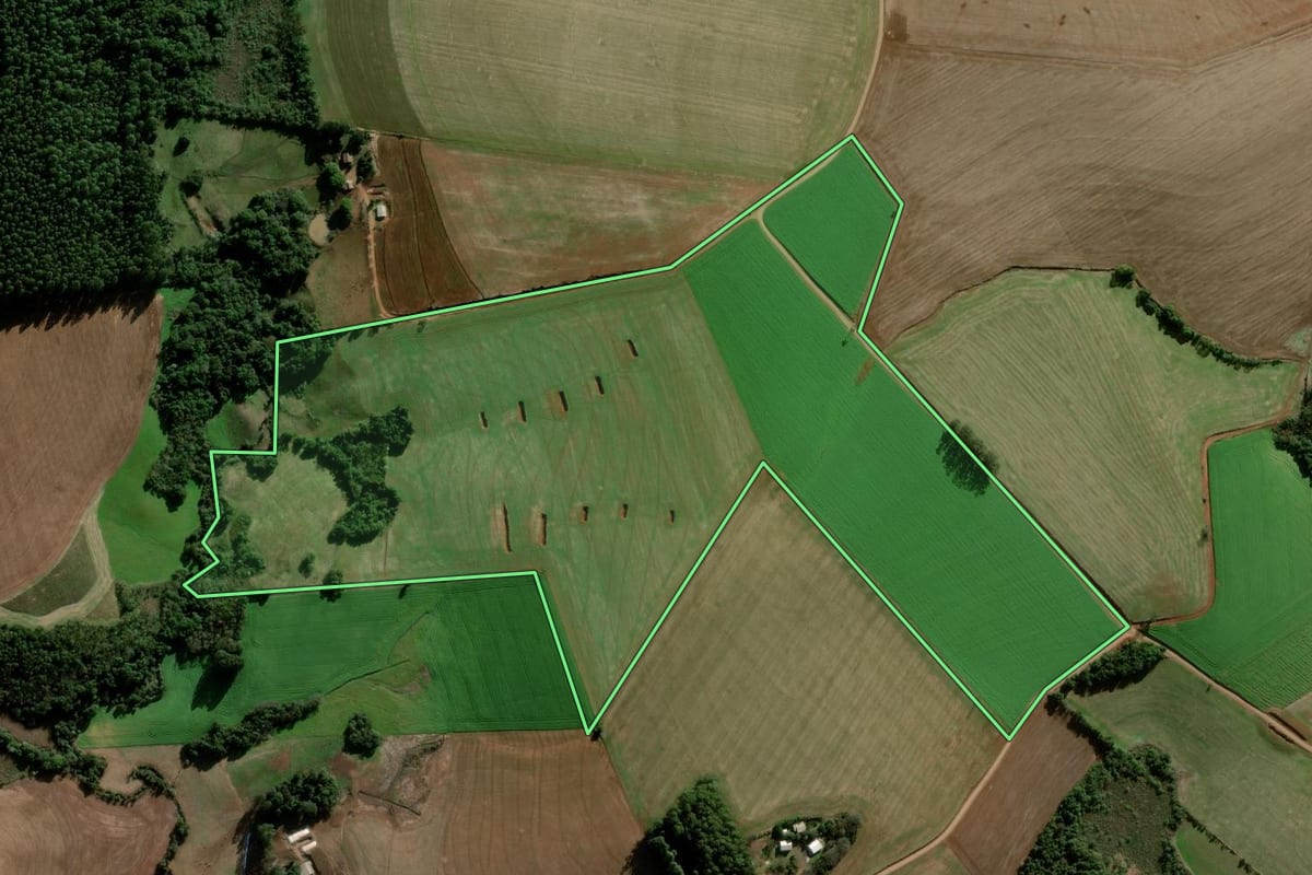 Imagem de satélite do imóvel rural em Nova Ramada (RS), com o contorno declarado no CAR desenhado por cima.