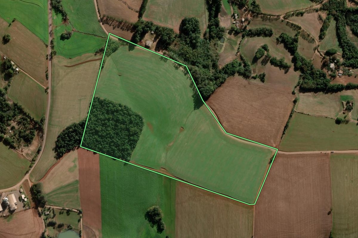 Imagem de satélite do imóvel rural em Nova Ramada (RS), com o contorno declarado no CAR desenhado por cima.
