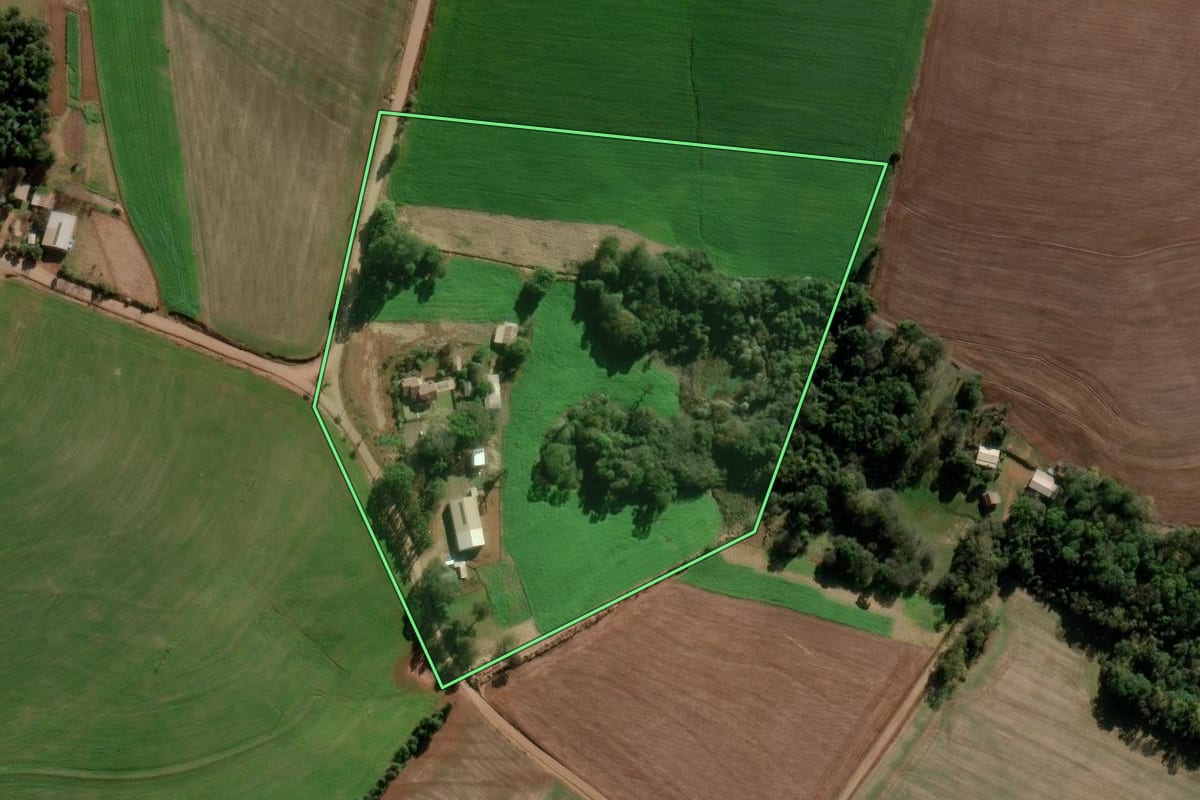Imagem de satélite do imóvel rural em Nova Ramada (RS), com o contorno declarado no CAR desenhado por cima.