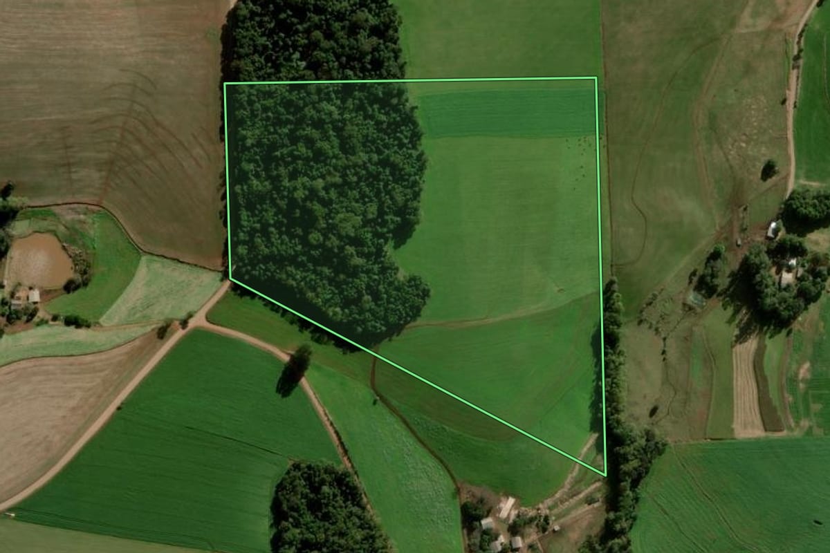Imagem de satélite do imóvel rural em Nova Ramada (RS), com o contorno declarado no CAR desenhado por cima.