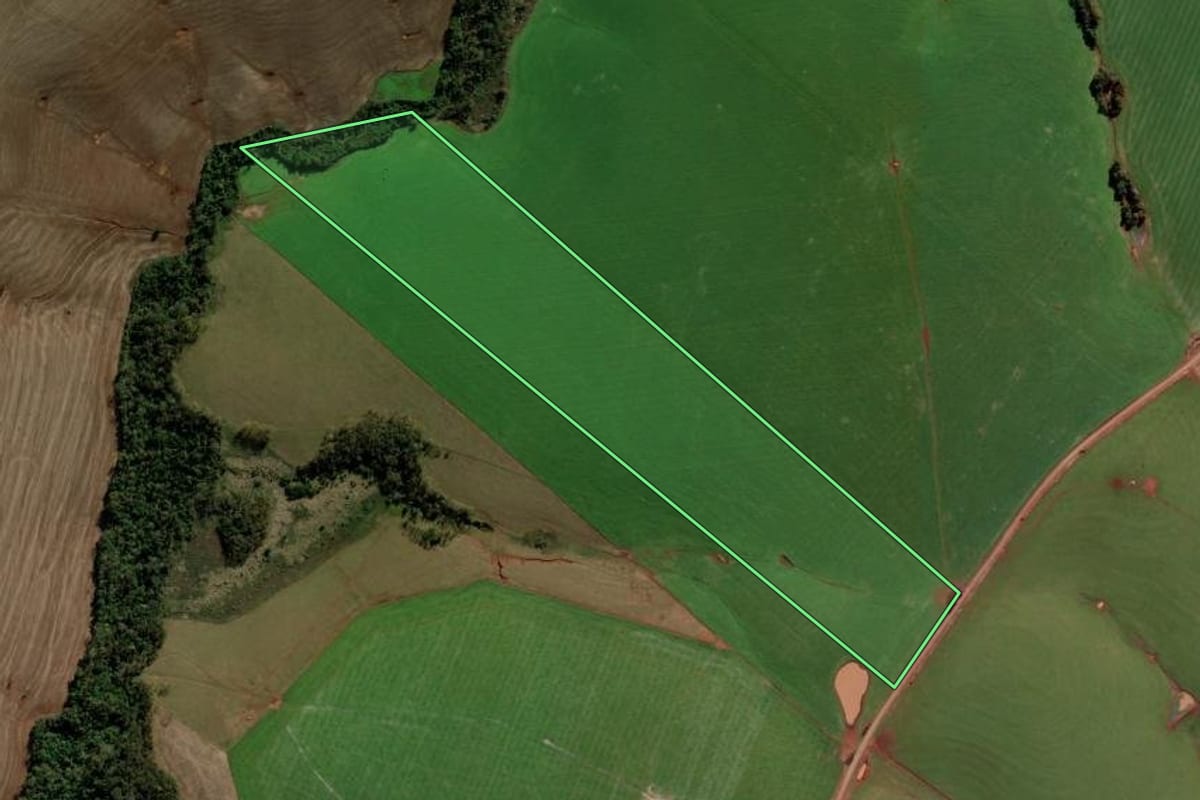 Imagem de satélite do imóvel rural em Nova Ramada (RS), com o contorno declarado no CAR desenhado por cima.